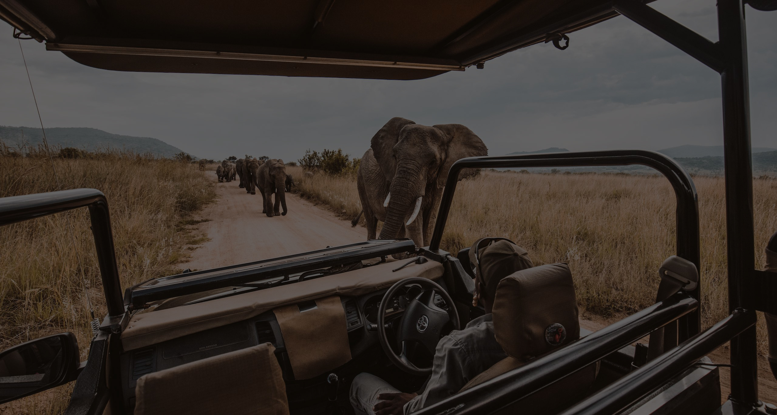 Spear Marks Tours Africa