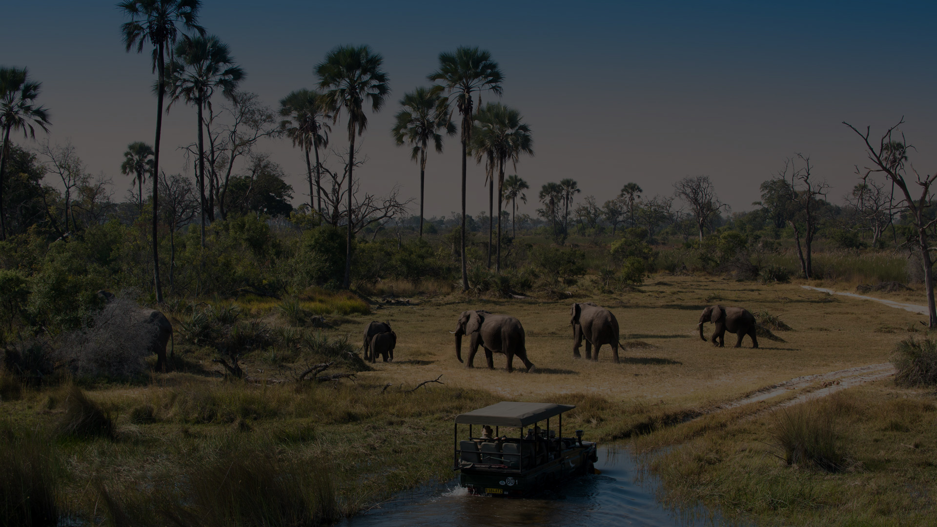 Spear Marks Tours Africa